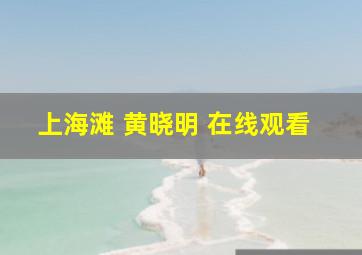 上海滩 黄晓明 在线观看